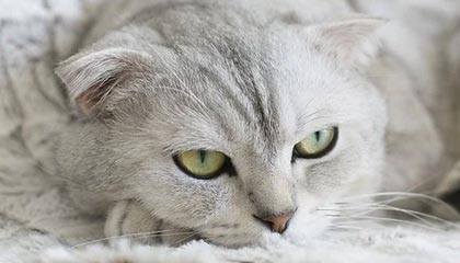 国家统计局：7月份规模以上工业原煤、原油和天然气生产平稳增长