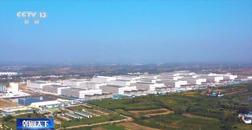 “二师兄”的身价要稳住 猪企开始给猪“减肥”了→