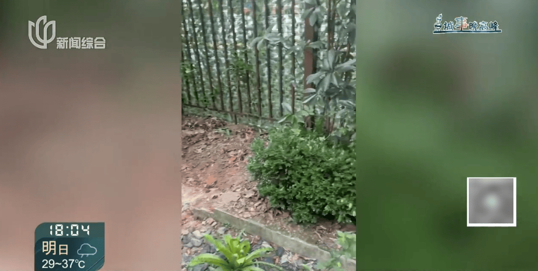 上海这对夫妇住洋房遇到“疯狂邻居”：楼道放大便