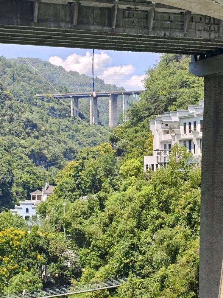 景区蹦极绳疑断开，游客坠入水中！目击者称坠落高度超40米，水里有血迹，当地文旅局通报