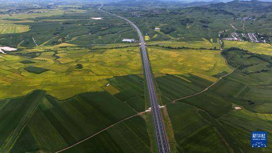 铁科高速延寿县至尚志界段主线完成摊铺