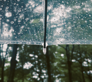 晴雨交替,气温适宜