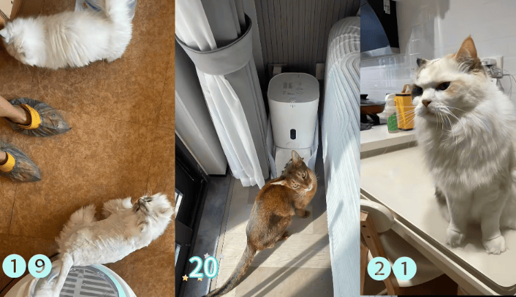 需求激增！男子长假连接270单，其中一笔收费8100元，“我有多套房，有双学位，客户很信任”；律师提醒→