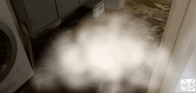 上海一业主推开家门瞬间懵了！精装房竟成“化粪池”……