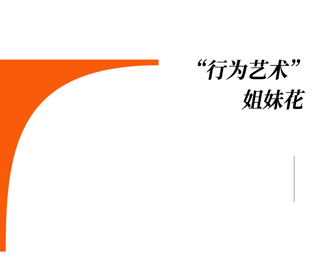 爱马仕当“头饰”，香奈儿挂满身，这对“神秘姐妹”是谁？