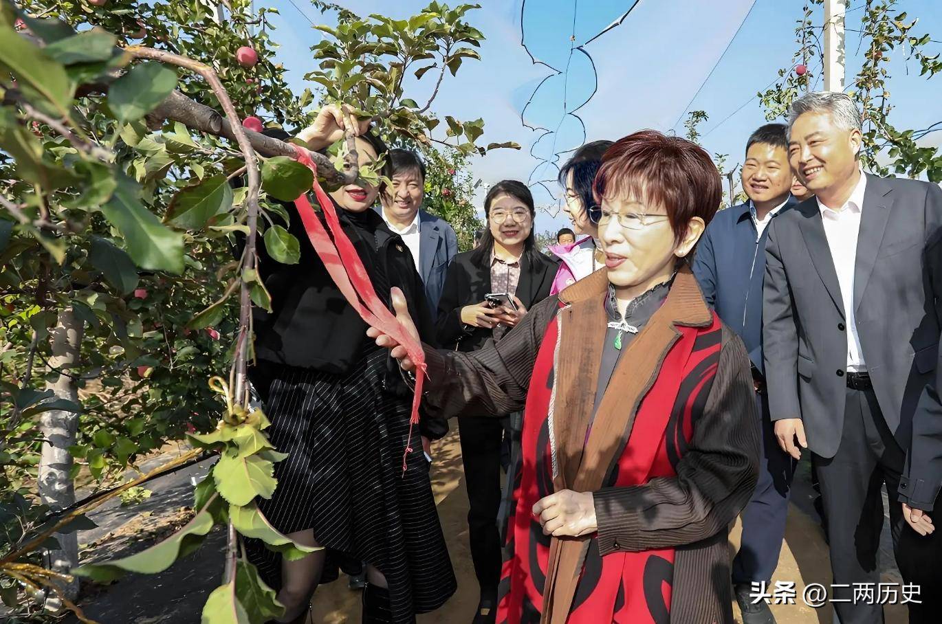 郑丽文人间清醒：如果去大陆，能见到谁不重要，重要的是代表谁去