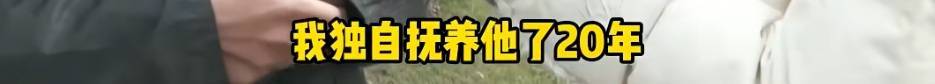 “天塌了，我一生都毁了”，男子称养了20年才发现儿子非亲生！前妻坚决否认