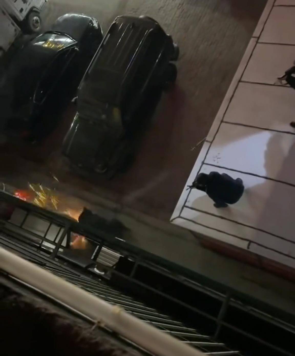 大黑熊夜里独闯黑龙江一县城闹市区，警方连开10多枪击毙，回应为何没用麻醉枪