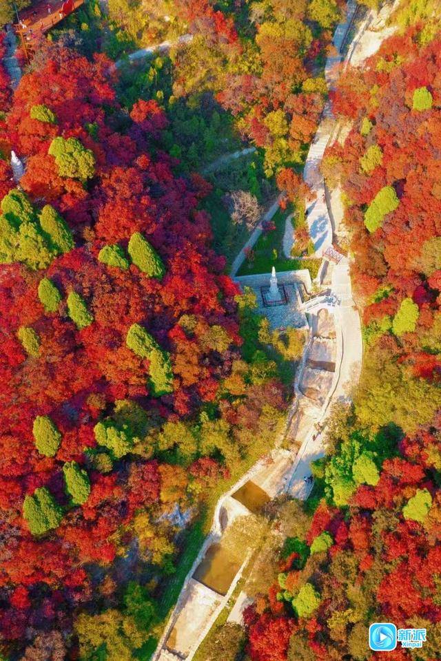 霜降时节，来潍坊临朐石门坊赴一场红叶之约！