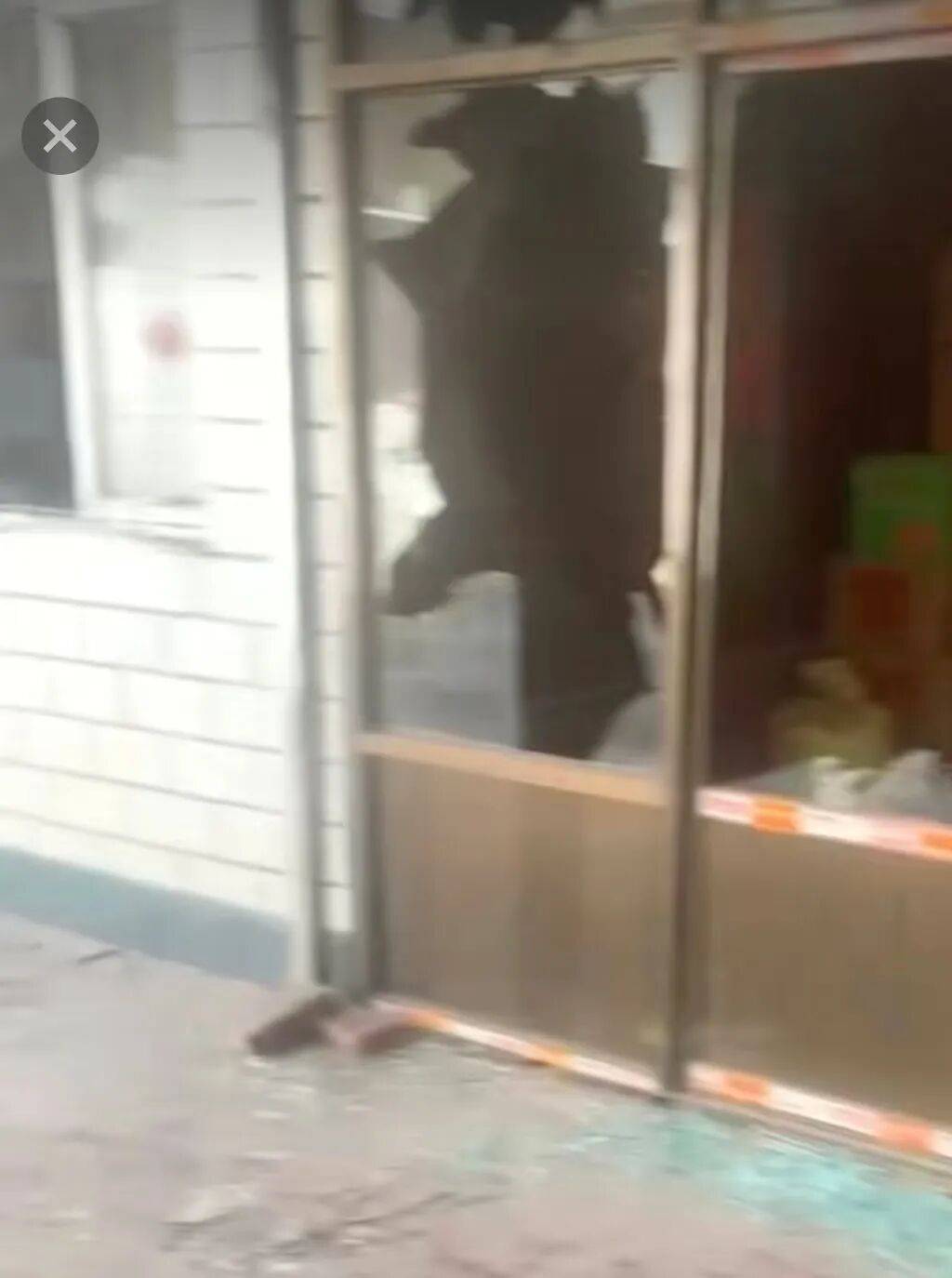 山西长治“狗咬人”引发“反杀案”，庭审激辩：面对砸窗破锁的多人入侵，如何界定正当防卫？