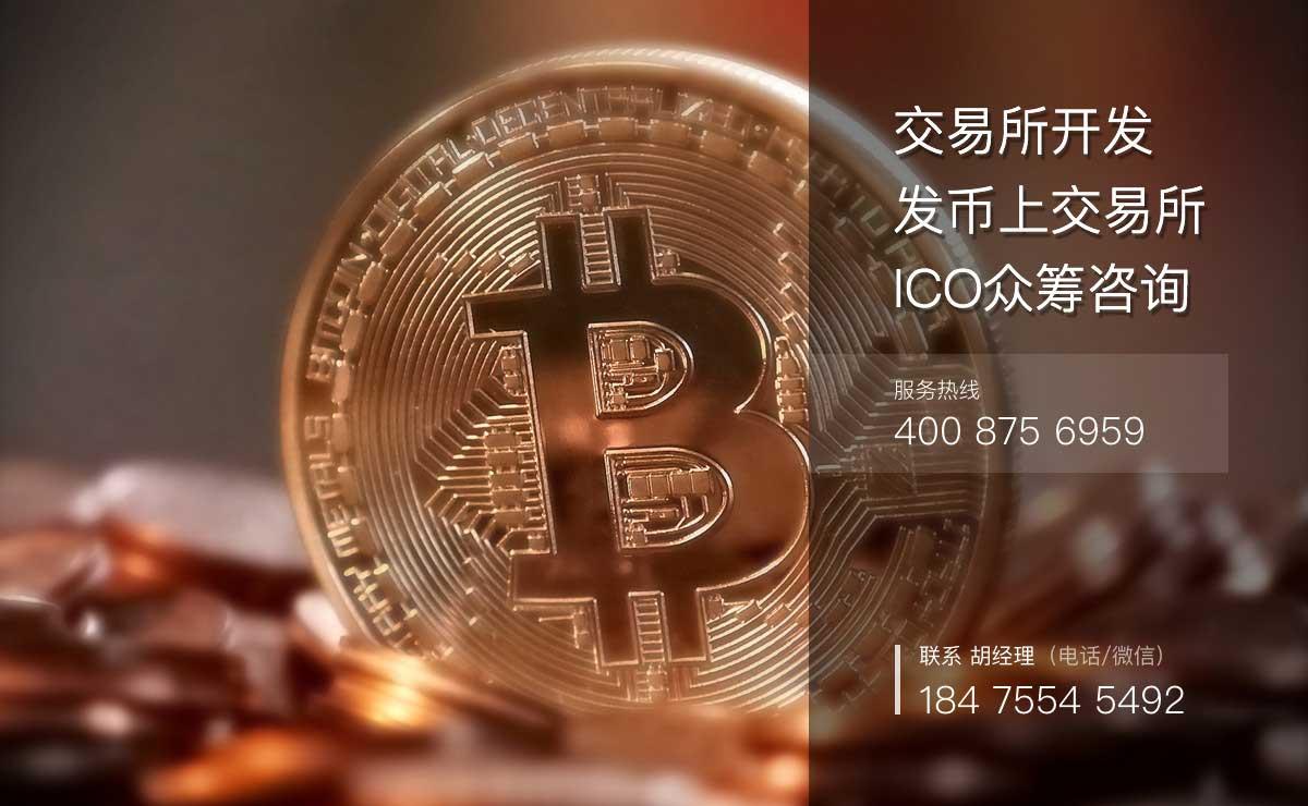 虚拟币交易所开发(虚拟币交易所开发人员违法吗)